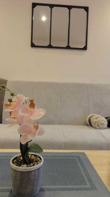 דירות טרבה Le Belvedere Dernier Etage Avec Terrasse Wifi Fibre מראה חיצוני תמונה